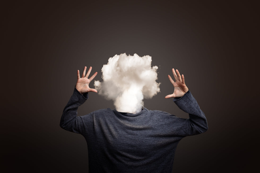 Supporting Focus and Mental Clarity: A Systems Approach to Cognitive Performance