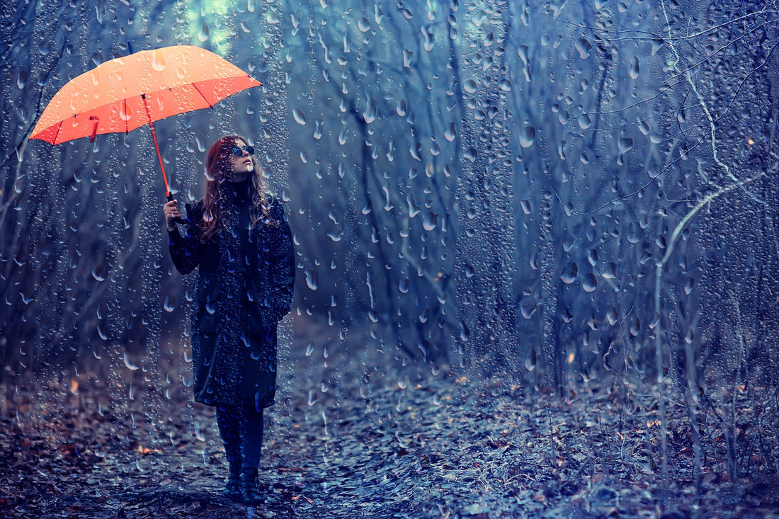 Autumn Immunity Support | Seasonal Health and Immune Resilience