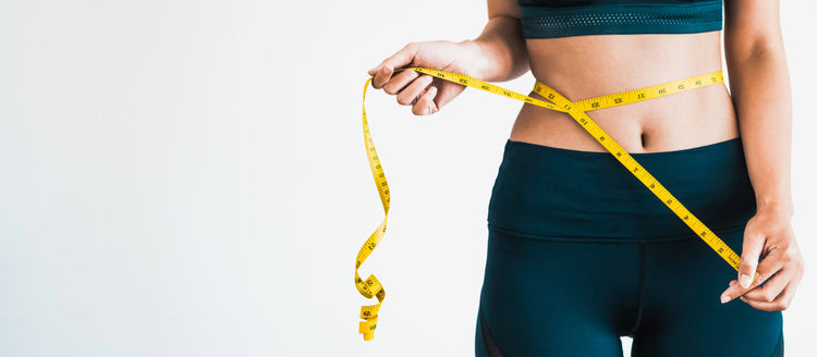 Understanding Body Weight Regulation Through Biological Signalling Pat ...