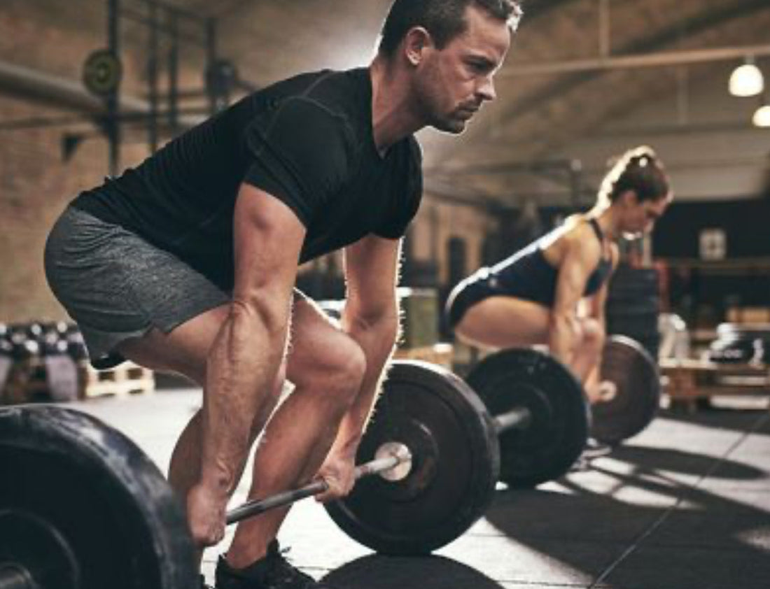 Muscle Adaptation and the Biology of Training